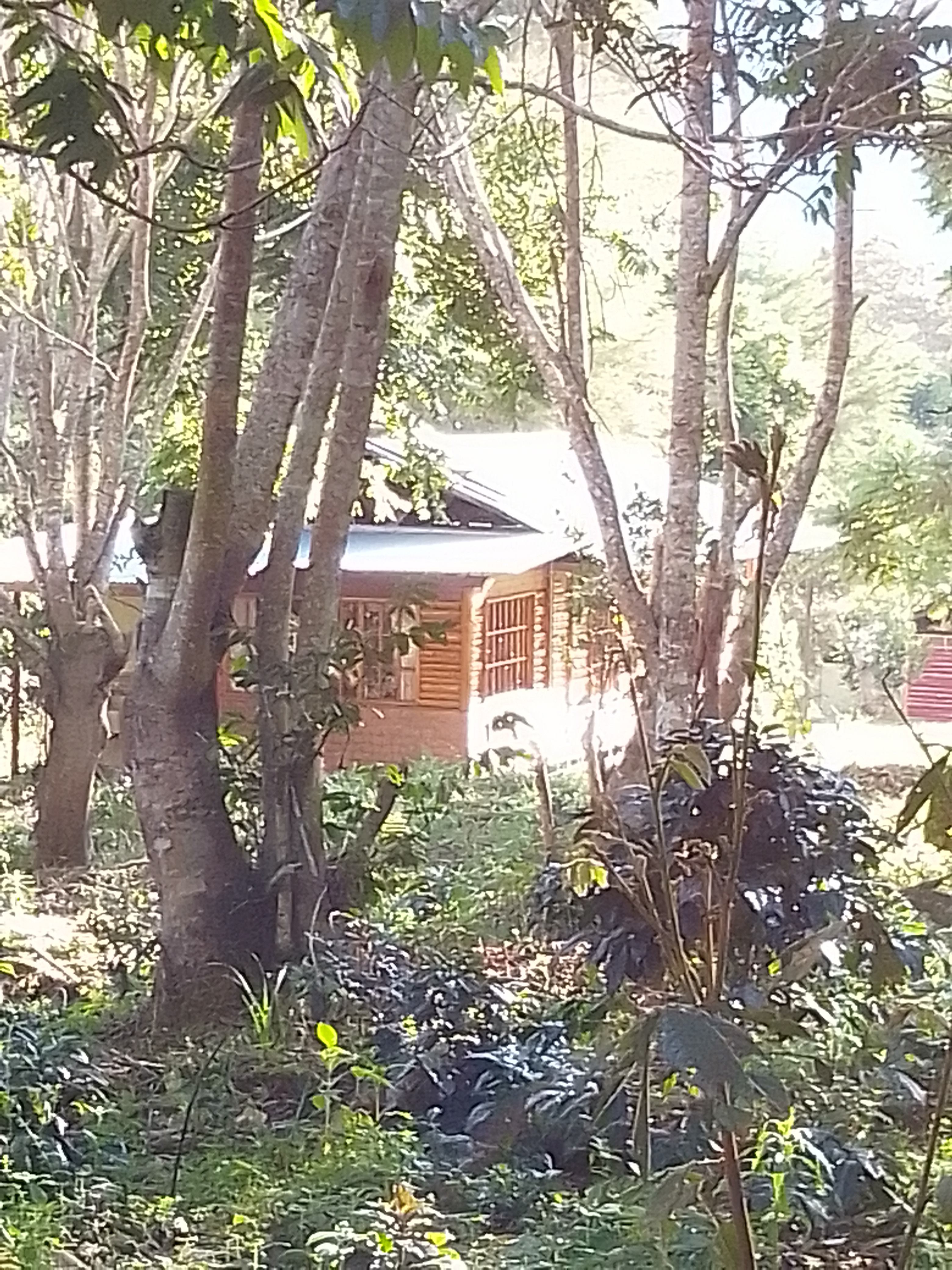 Nuestra Casa Joaquin al frente de nuestro Waldgarten